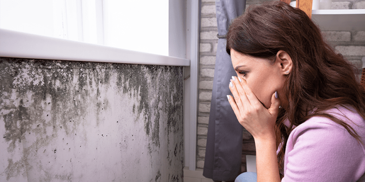 Dicas da Vedacit para se livrar do mofo