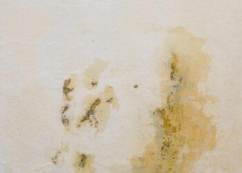 Mancha na parede após chuva? Descubra os produtos indicados