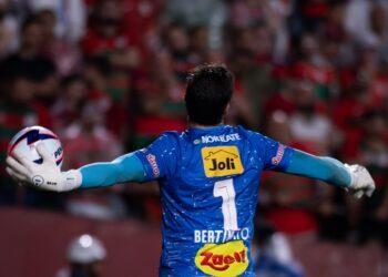 Nova Parceria Portuguesa e Joli