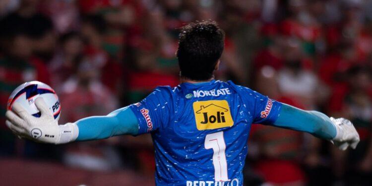 Nova Parceria Portuguesa e Joli