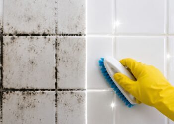 Como Tirar Mofo do Azulejo e do Rejunte do Banheiro de Forma Definitiva